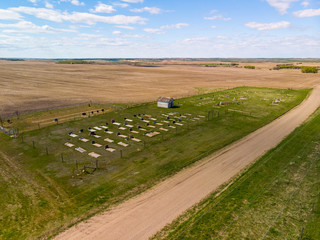 An aerial view of an old and forgotten cemetery in vast Prairies of Saskatchewan, Canada. Many of the graves date back to the late 1800's