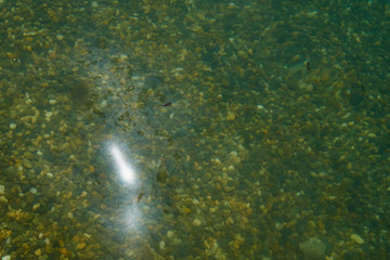 Oil film on the surface of sea water. Oil spill in the sea.