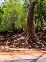 Angkor Wat