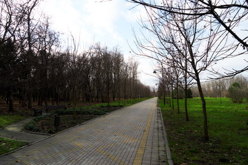 Image of a footpath in a winter park.