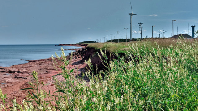 Beautiful scenery on the northern most point of Prince Edward Island. In this area called, North Cape or Tignish, the natural rock reefs are exposed, flowers are blooming, and windmills are turning.