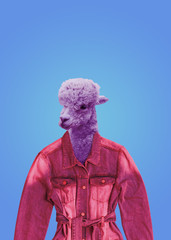 A tinted image of an Alpaca head in a denim jacket.