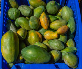 Green Papayas at the market