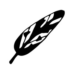 Single doodle vector elements feather. Hand drawn symbols writing and magic. Isolated on white backdrop.