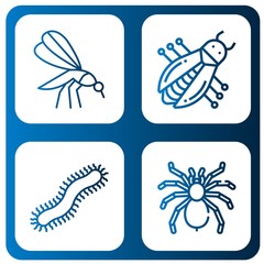 spider icon set