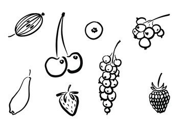 Gooseberry, cherry, blueberries, currant, blackberry, Strawberry, honeysuckle vector sketch illustrations on white background. Berry set for logotype, infographic, app, package, menu design