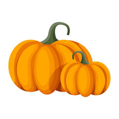 Vector Orange Pumpkin. Isolated Illustration