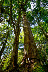 京都　貴船神社　参道