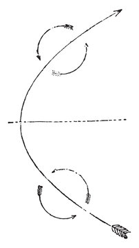 Cycloid Northern Hemisphere, vintage illustration.
