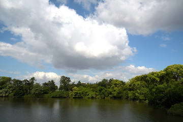 Obraz na płótnie Canvas 池の上空に、大きな夏雲が浮かんでいる風景