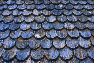 Wooden background with copy space for your text or creative design made with old weathered roof shingles with remnants of blue paint, natural cracked surface. Shabby vintage texture