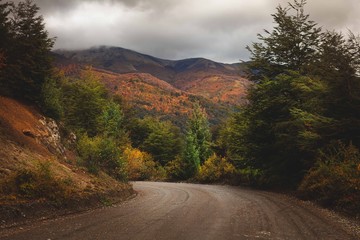 camino cerro bayo