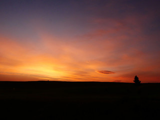 ニュージーランド  テカポ地区・草原の夕焼け