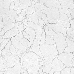 White marble texture abstract background pattern with high resolution.