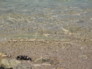 Close-up foto  with the image of sea sand, warm beautiful water and small stones. Shot with sea sand and wave texture for wallpaper. 