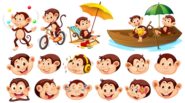 Set of monkeys with different facial expressions on white background