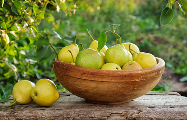 Yellow ripe pears in a wooden bowl. Organic food. Harvest season. Selective focus.