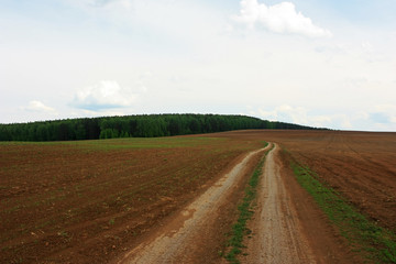 Dirt road in the field