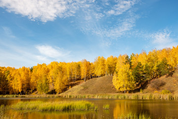 blue sky with blurry clouds over autumn birch forest