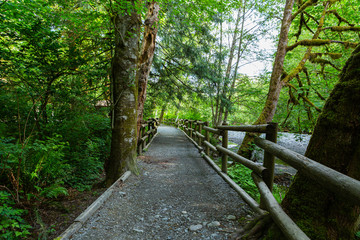 Hiking trail in Goldstream Provincial Park, Vancouver Island, Bristish Colombia, Canada