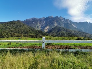Fototapeta na wymiar Mount Kinabalu from Desa Cattle Dairy Farm