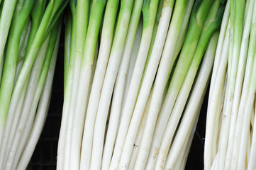 close up on bunches of green onion