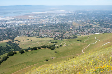Fototapeta na wymiar Snaking trail through the hilltop - San Jose, CA, May 10, 2020