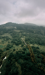 Fototapeta premium aerial view of the forest with suspension bridge