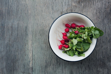 Fresh red radish in bowl. Growing organic vegetables. Large bunch of raw fresh juicy garden radish on blue wooden board ready to eat. Copy space