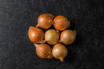 小さな玉ねぎ　Small cute onion type (Pecorus)