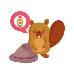Beaver with canadian maple syrup vector design