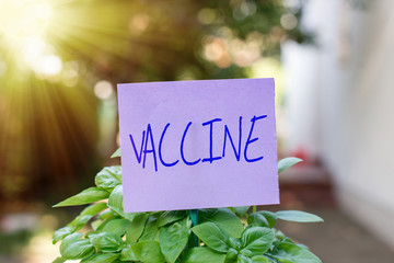 Handwriting text Vaccine. Conceptual photo preparation of killed microorganisms or living...