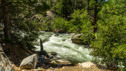 Kings Canyon National Park, California, Sierra Nevada 