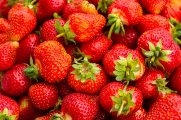 Group of fresh strawberries closeup