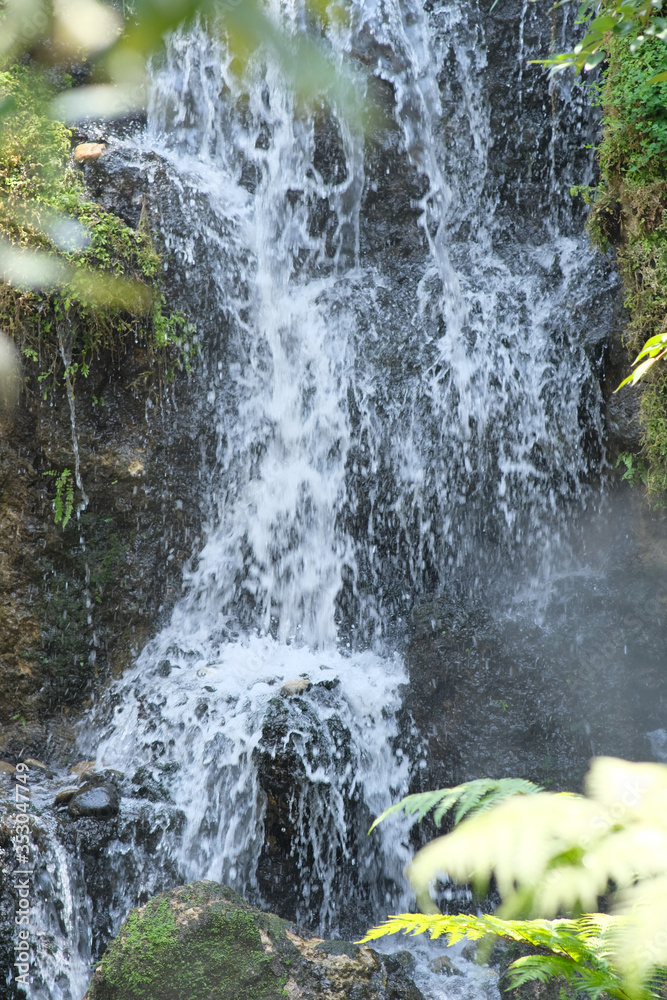 Poster small waterfall in the forest