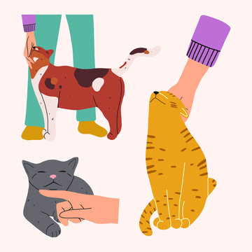 Set of three illustrations. A person stroking a yellow,ginger and gray cats.Love to the animals. Vector hand drawn illustration. 