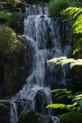 waterfall in the forest wallpaper background