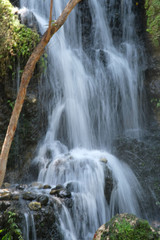 Obraz premium waterfall in the forest