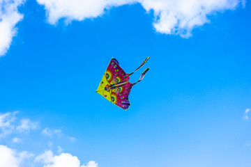 A bright kite is flying into the sky in summer outdoors: vacation in the park.