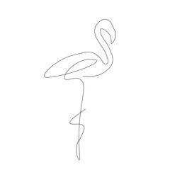 Flamingo bird line drawing, vector illustration