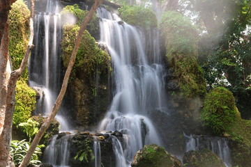 Obraz premium waterfall in the forest wallpaper background