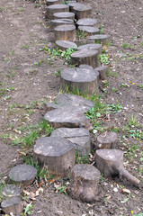 A path made of hemp buried in the ground