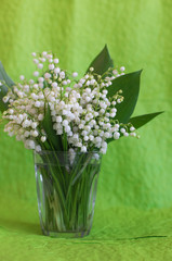 lily of the valley