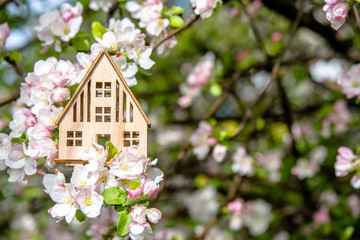 Symbol of the house on the branches of a flowering apple

