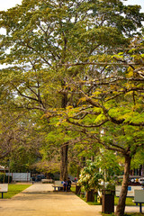 A beautiful view of Siem Reap city at Cambodia.