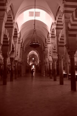 Fototapeta premium 圧巻 息をのむ光景ーメスキータ コルドバ（スペイン）