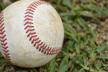 野球のボール（硬式ボール）