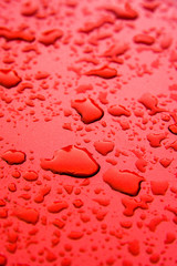 Abstract Background of raindrop early morning after heavy  rain