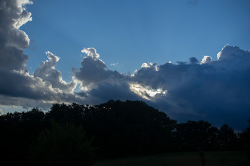 built animals in the clouds blue sky dark silhouette