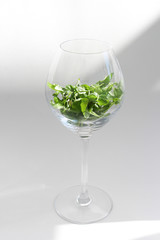 green basil in the original serving: in a glass. healthy greens. Phytonutrients. Fresh basil close-up. beautiful highlights.